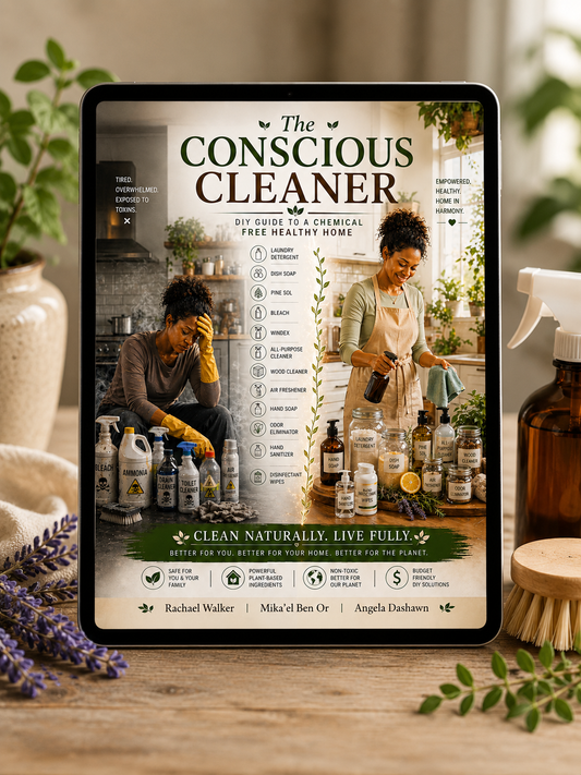The Conscious Cleaner (e-book)